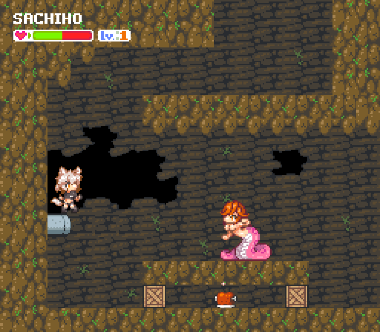echidna wars dx